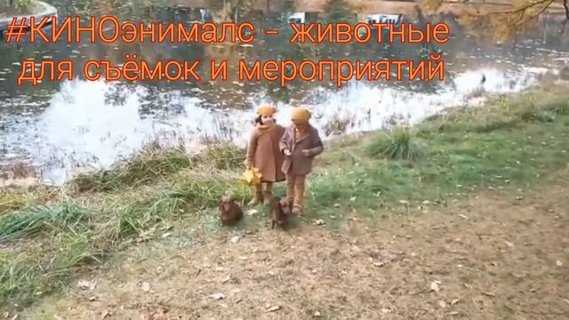Воркшоп . Ольга Шустер. смотреть онлайн