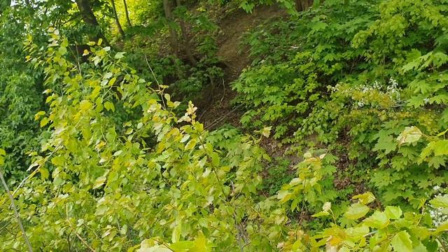 Новый день / Лена LIFE / Свободные отношения во всей красе! / Обзор влогов