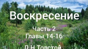 Л.Н.Толстой. Воскресение. Часть 2. Главы 14-16.
