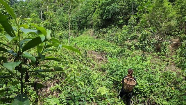 Single Mother: Abandoned Boy Living With A Young Man - My Daily Life Picking Vegetables To Sell