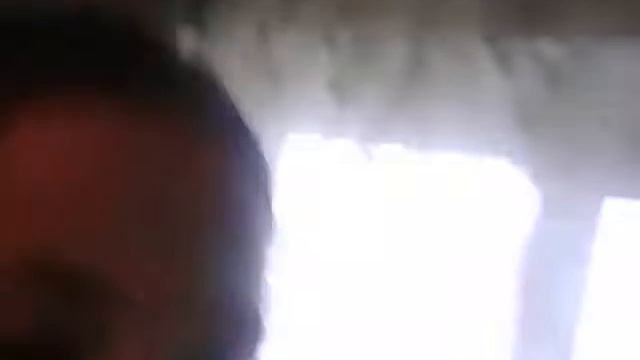 Фото собак 🐶🐕 смотреть онлайн