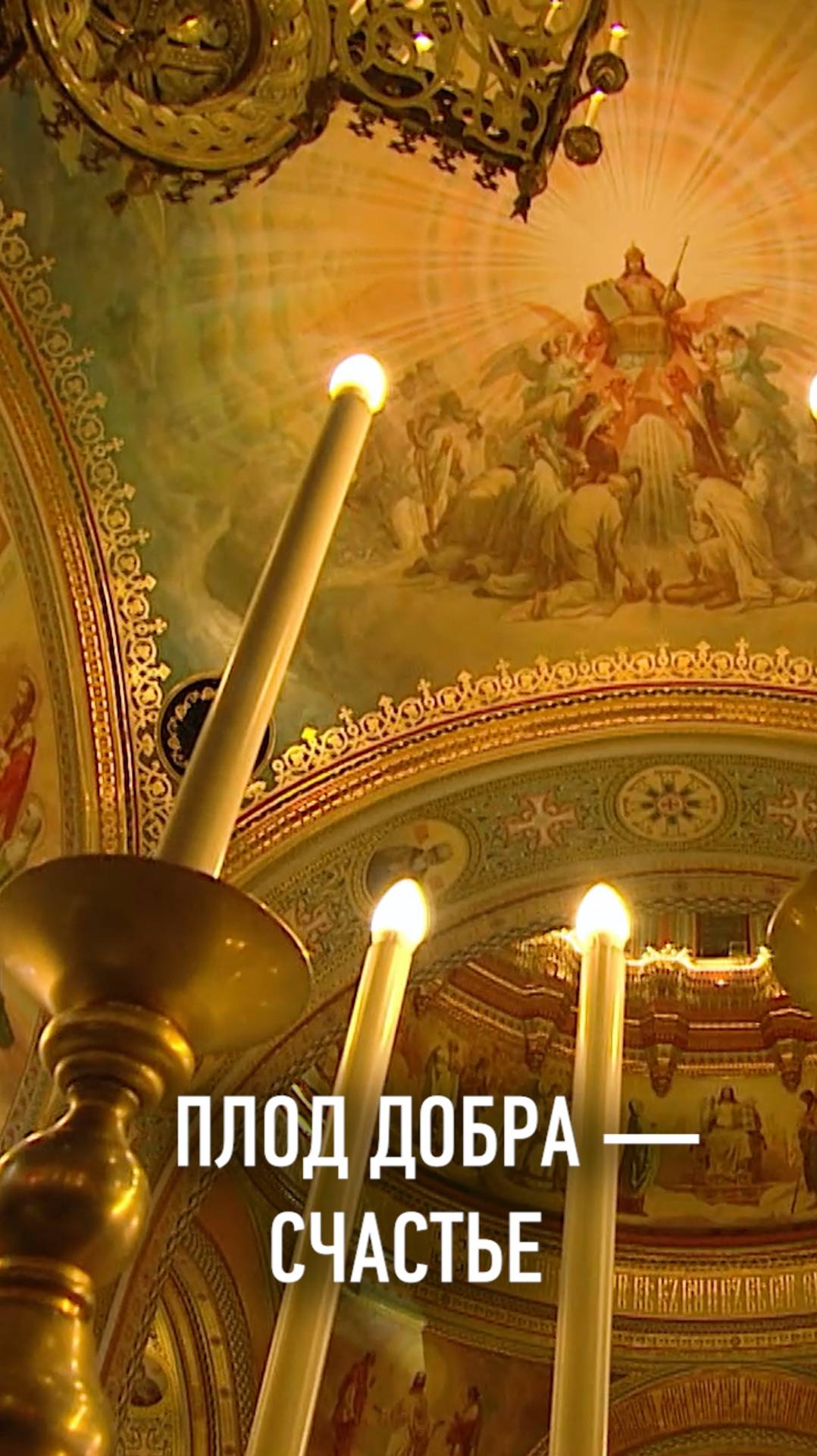 ПЛОД ДОБРА — СЧАСТЬЕ смотреть онлайн