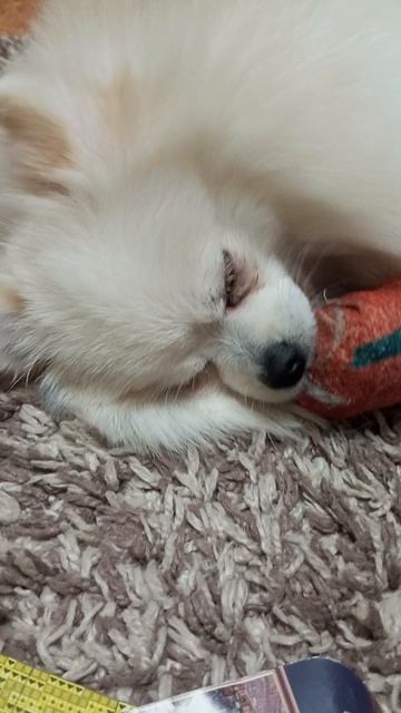 побег смотреть онлайн