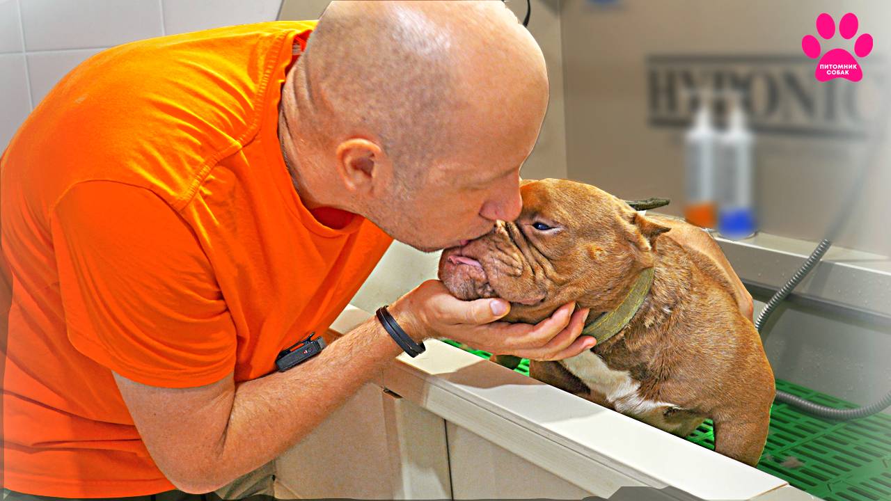 ПУПС покинул питомник! Где и как теперь живет ЗВЕЗДА нашего канала? смотреть онлайн