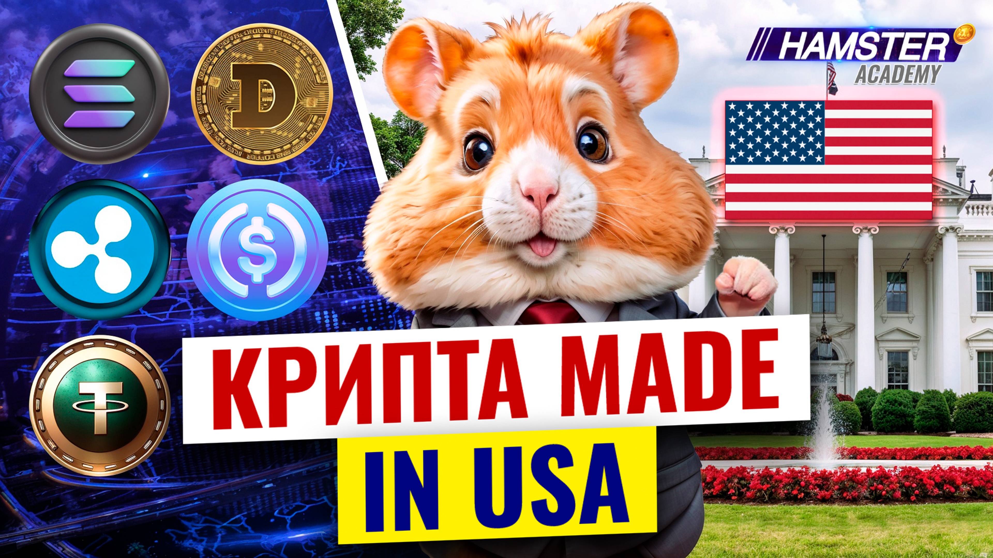Solana, XRP (Ripple), USDC & Tether, Dogecoin. Топ-5 криптовалют США ⚡️ Hamster Academy