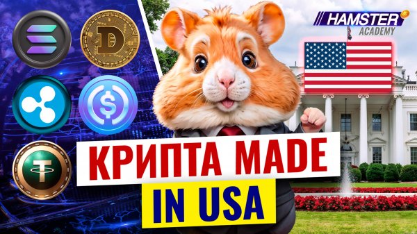 Solana, XRP (Ripple), USDC & Tether, Dogecoin. Топ-5 криптовалют США ⚡️ Hamster Academy