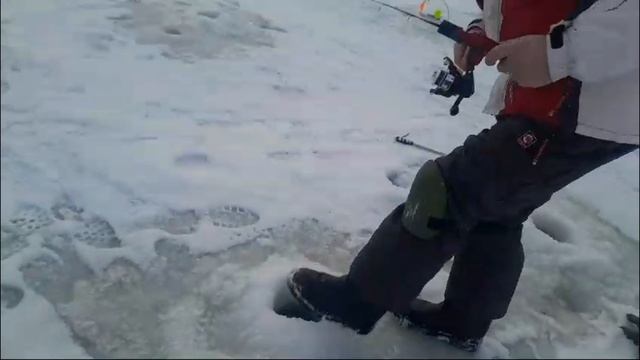 19-02-2025 смотреть онлайн