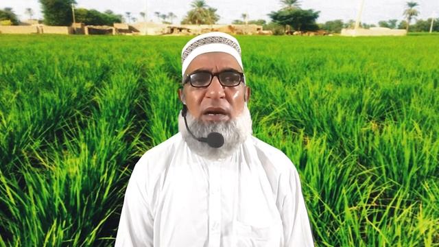 Requirements of Super Fine and Hybrid Rice at booting stage || Crop Reformer смотреть онлайн