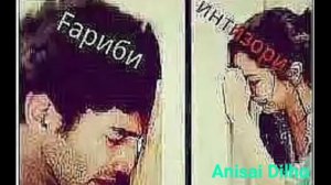 Махмадали Умар Гариби  2019