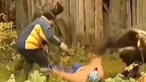 Медведь напал на женщину 😮