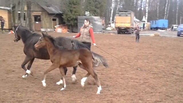 20131028 132550 смотреть онлайн