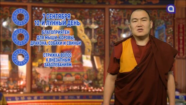 Мыши и коровы, устройте праздник смотреть онлайн