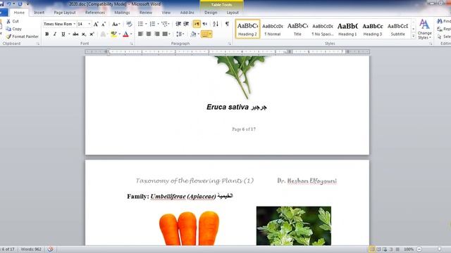 2nd yr Tax Summary+Model of Practical Exam смотреть онлайн