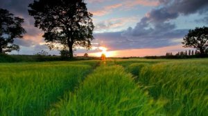 Увидимся - Света ( Dream House, Trance )1999