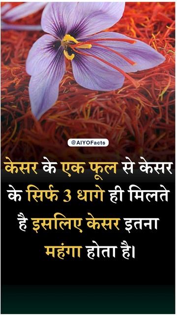 🌺 🌺 🌺 Saffron flowers amazing Factsc 🌺 🌺 🌺 смотреть онлайн