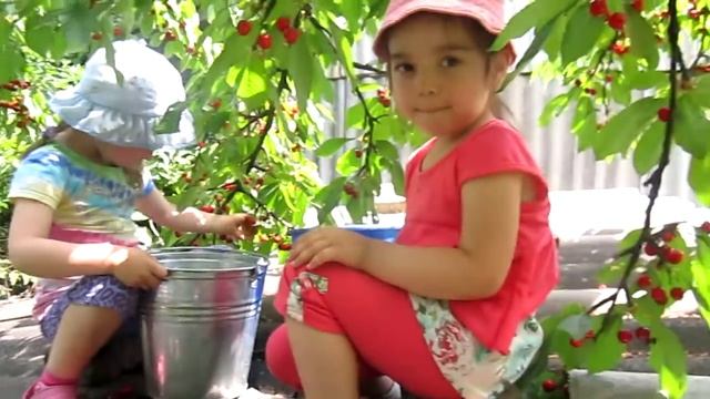 Chereshnya смотреть онлайн