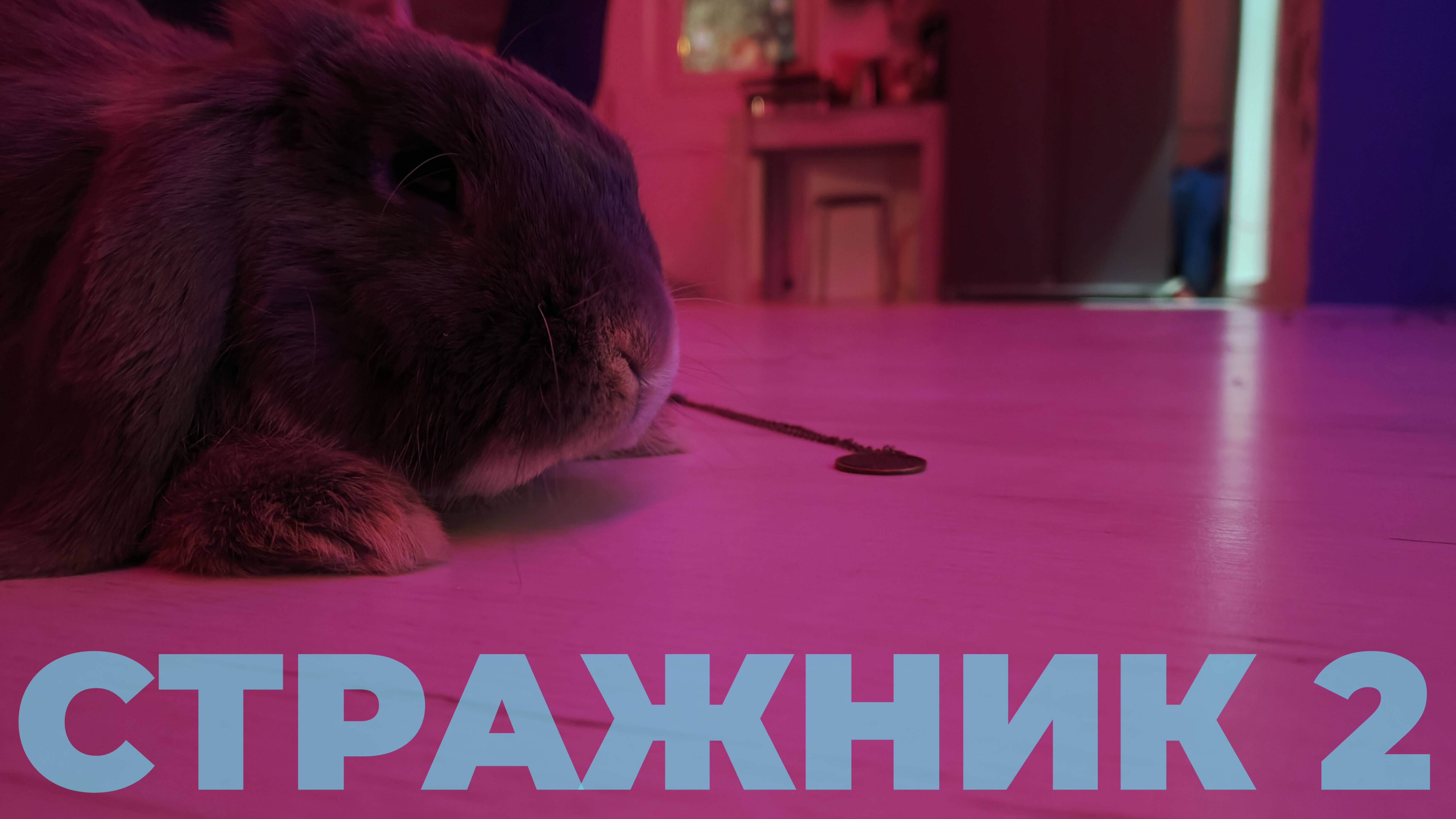 СТРАЖНИК 2: ДЕНЬ СМЕРТИ