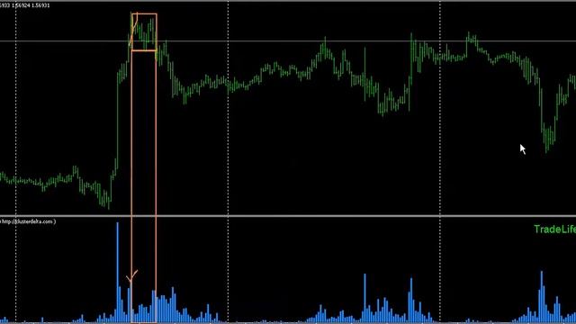 4. Учебный курс по VSA смотреть онлайн