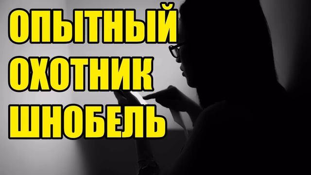 ✅ АнаЛЛитик положил на личный кабинет!!