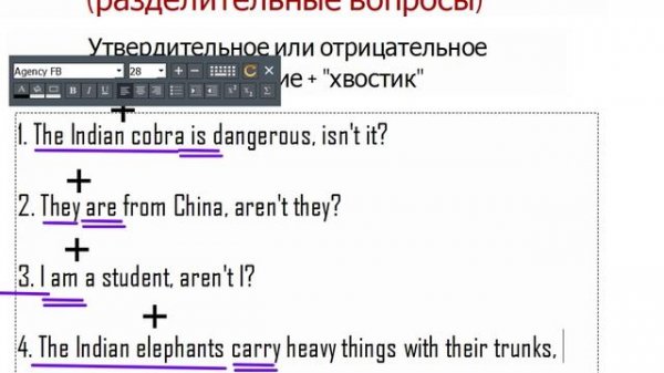 Разделительный тип вопроса Present Simple