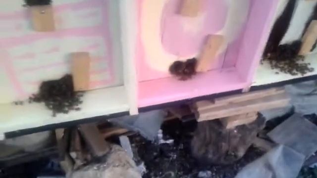 уборка на прилетке смотреть онлайн