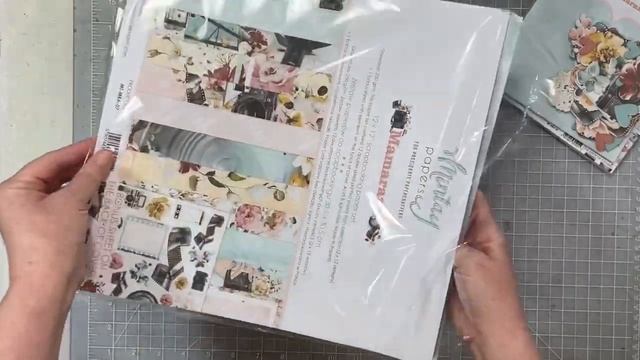 Scrapbook Haul- Alcohol Ink Supplies, Mintay Mamarazzi Collection смотреть онлайн