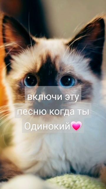 включи эту песню когда ты будешь одинокий💗.название музыки в коментах😉 #музыка смотреть онлайн