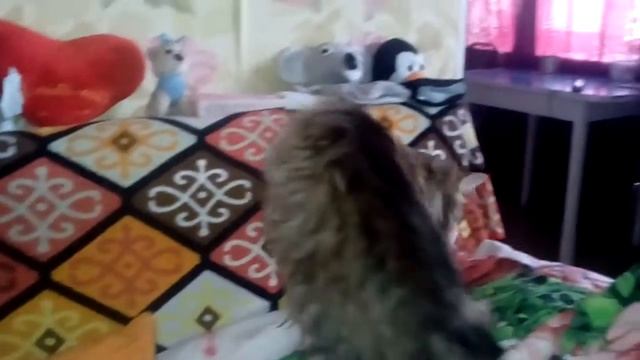 Миксс время и стекло кафель !!.. смотреть онлайн