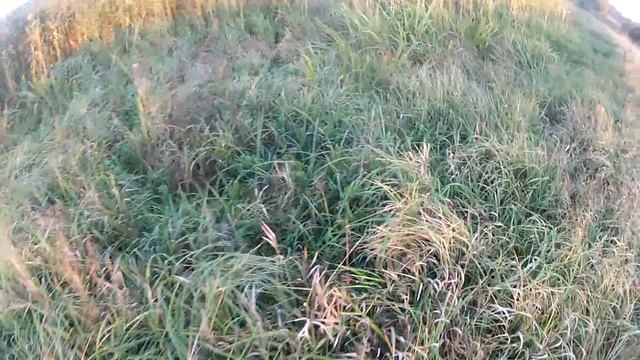 Утка 2018 смотреть онлайн