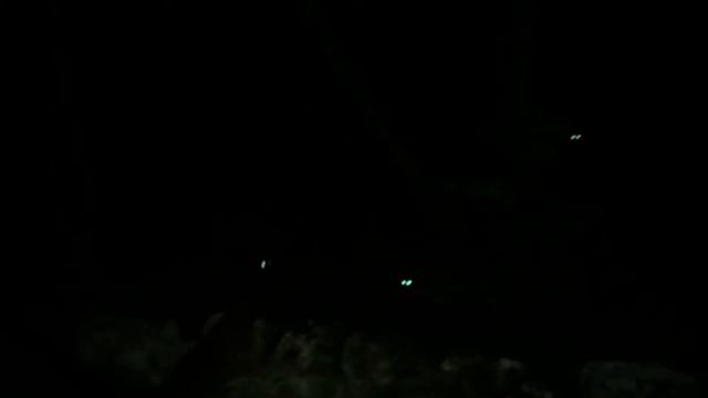 Встретили носух в парке Urbano KABAH смотреть онлайн