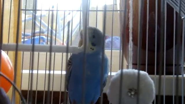 Кеша уже умер