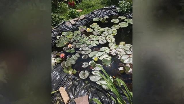 Вспомним лето 19 года, продолжение смотреть онлайн