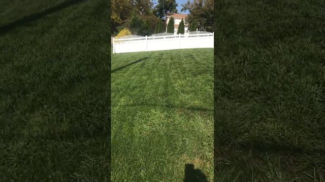 New seed grow - 7 week update from sept 2021-October смотреть онлайн