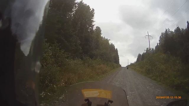 Grizzly in B.C. Canada смотреть онлайн