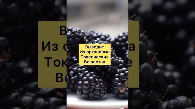Чем Полезна Ежевика? смотреть онлайн
