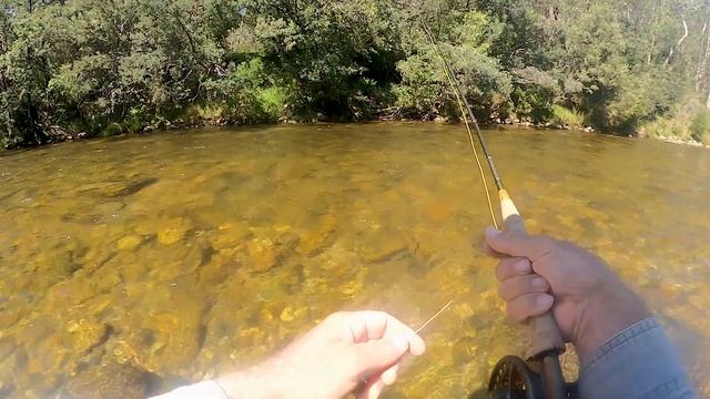 Euro Nymphing and Dry Fly - Snowy Mountains, Australia смотреть онлайн