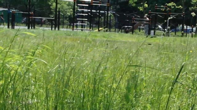 3 июня 2018г черешня спеет смотреть онлайн