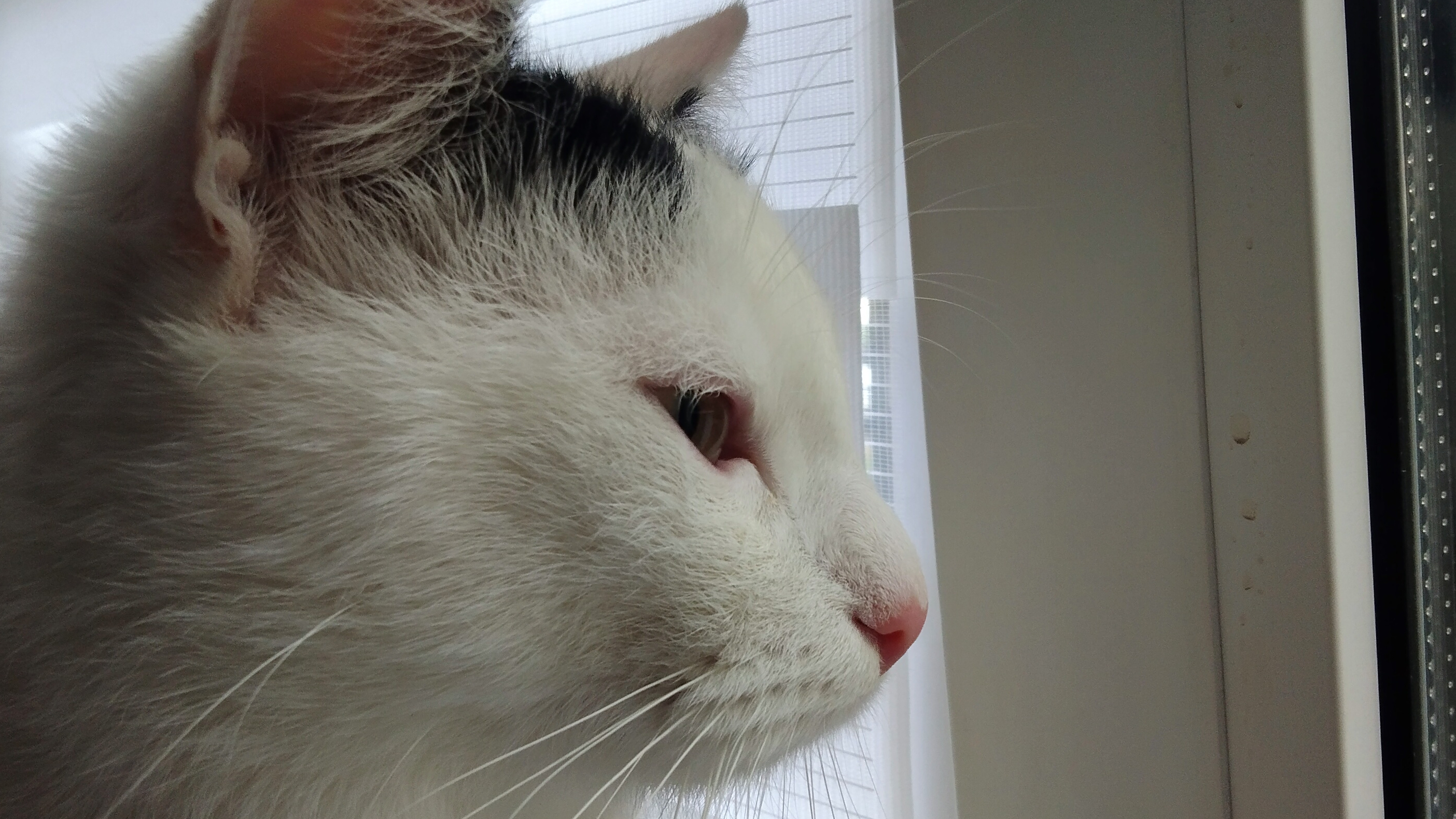 сыграем вместе с нами в прятки roblox