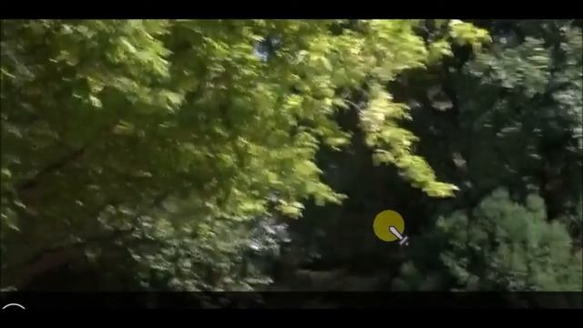 GRIZZLY VR GAME GO - VIRTUAL REAL GAME GO смотреть онлайн