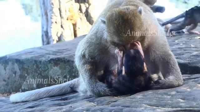 His Head Upside Down Everyday, Tara Raising While Moving With Her Rule Family Discipline. смотреть онлайн