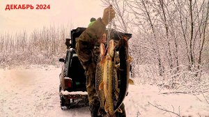 Зимняя рыбалка по открытой воде. Щучья икра копченная, щучьи головы в чесноке и быть добру.