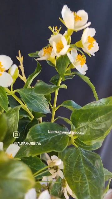 Чубушник, вишня и сирень из холодного фарфора смотреть онлайн