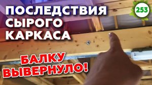 Каркас из сырой доски / Что будет, если не дать просохнуть каркасному дому?