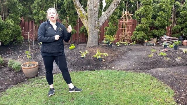 The Shade Garden смотреть онлайн