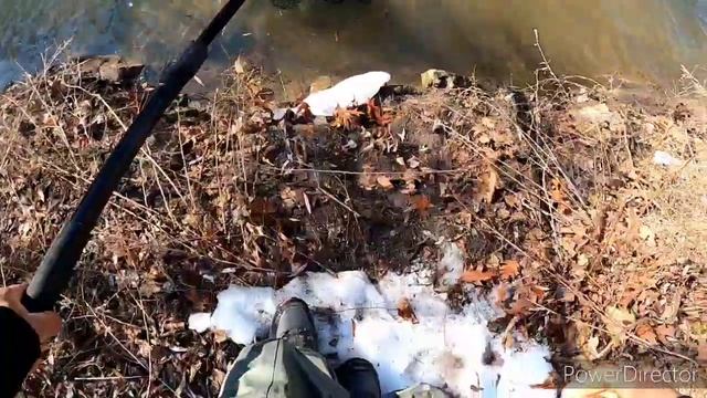 Wisconsin root river steelhead and brown trout смотреть онлайн