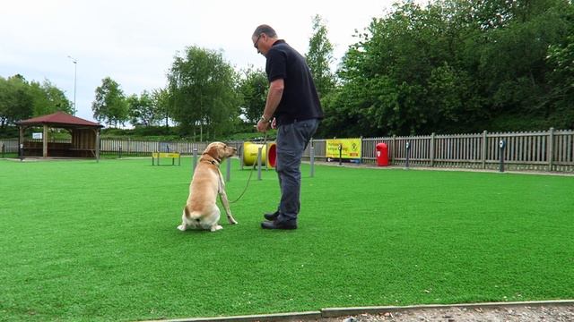 Road Trip Spain. Day one. UK to Calais, France смотреть онлайн