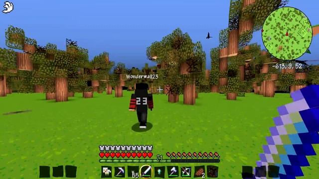 I AM NOT STINKY!! | 30 | MINECRAFT CRAZY CRAFT 3.0 смотреть онлайн