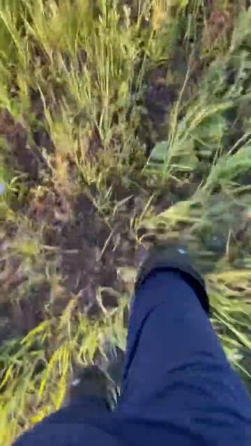 Гуляю по зарослям , ищу маршрут , а мотик ждёт #motovlog #shorts #motocross #ride смотреть онлайн
