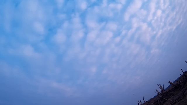 Охота на Гуся смотреть онлайн