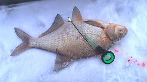 Лещ на безмотылку! Зимняя рыбалка на безмотылку!